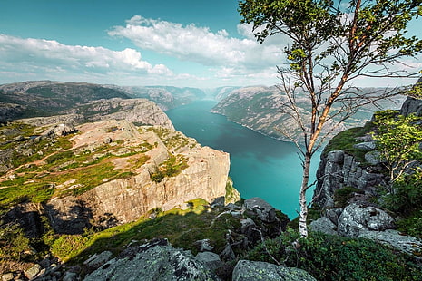 montagna rocciosa ricoperta di muschio, Preikestolen, Norvegia, montagne, alberi, fiordo, mare, scogliera, roccia, canyon, nuvole, estate, natura, paesaggio, Sfondo HD HD wallpaper