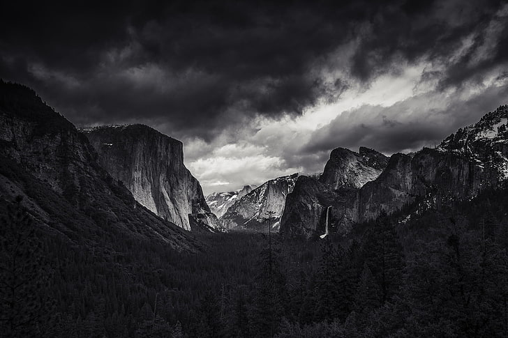 landscape, nature, monochrome, mountains, forest, Yosemite Valley, Yosemite National Park, El Capitan, HD wallpaper