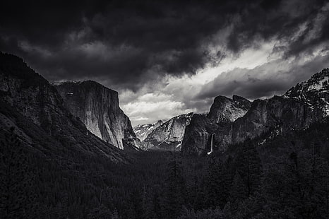 landskap, natur, svartvit, berg, skog, Yosemite Valley, Yosemite National Park, El Capitan, HD tapet HD wallpaper