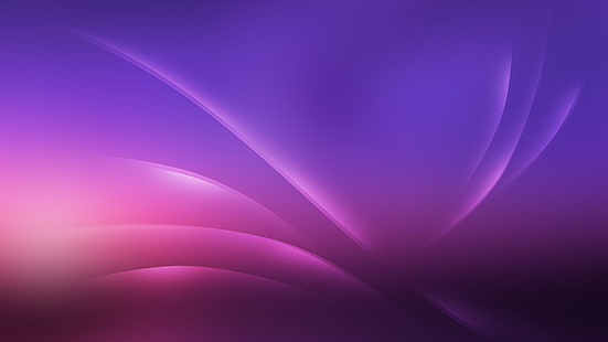 purple, pink, violet, lines, curves, abstract, HD wallpaper HD wallpaper