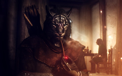 ภาพประกอบแมว, Elder Scrolls V: Skyrim, cat, Khajiit, วอลล์เปเปอร์ HD HD wallpaper