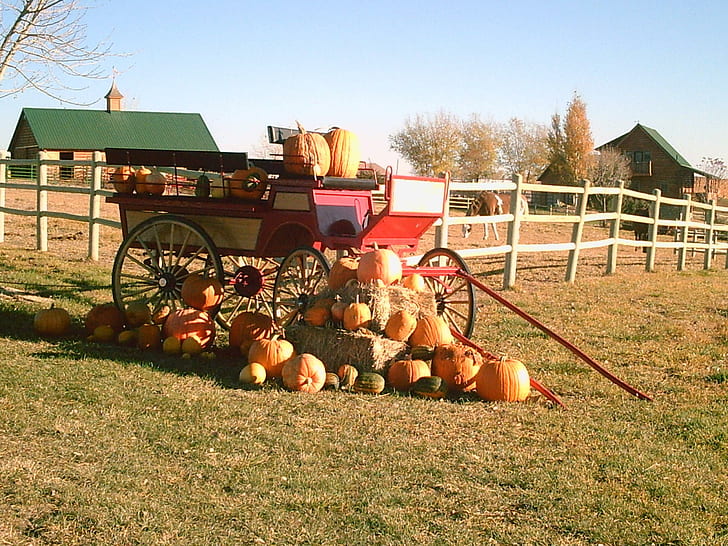 Wagon Of Pumpkins, wagon, barns, pumpkins, fields, fencing, 3d and abstract, HD wallpaper