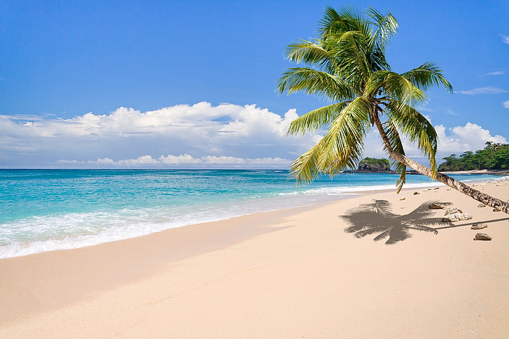 nature, paysage, tropical, île, plage, palmiers, mer, sable, nuages, été, Madagascar, Fond d'écran HD