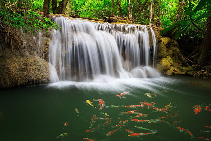 Cascate, cascata, parco nazionale di Erawan, cascata di Erawan, pesce, Tailandia, Sfondo HD