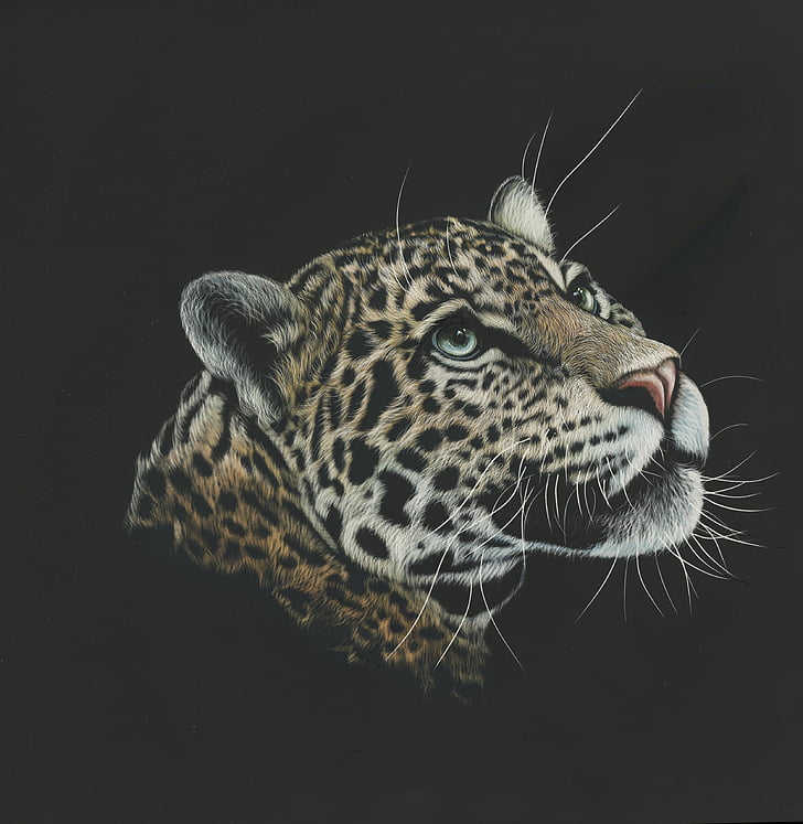 fotografia macro de ilustração de cabeça de leopardo marrom e preto, leopardo, tinta, escuro, HD, HD papel de parede, papel de parede de celular