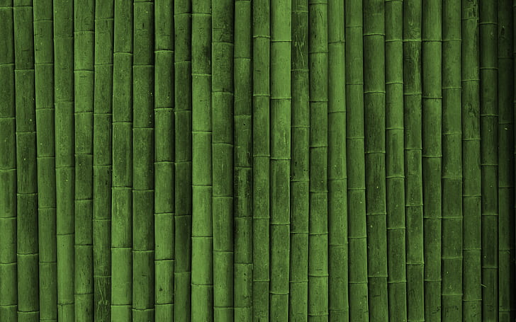 minimalismo, bambu, HD papel de parede