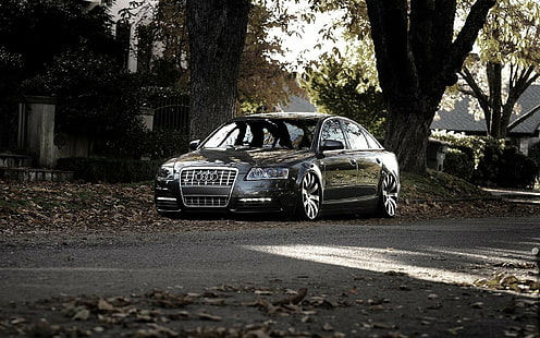 Audi, Audi A8, Audi S8, mobil, Musim Gugur, Perkotaan, kendaraan, Wallpaper HD HD wallpaper