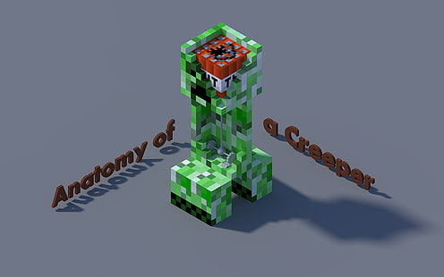 Clipart de Creeper Minecraft, affiche de l'anatomie de Creeper, Minecraft, Fond d'écran HD HD wallpaper