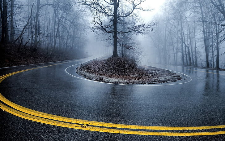 ulica, deszcz, ciemny las, mgła, przyroda, Tapety HD