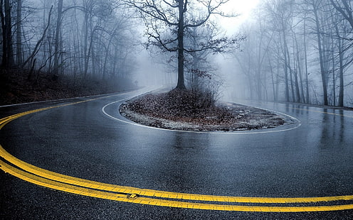 road, raining, dark forest, fog, Nature, HD wallpaper HD wallpaper