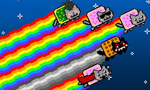 Humor, Nyan Katze, Nyan, HD-Hintergrundbild HD wallpaper