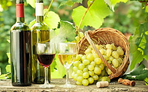 dos botellas de vino con etiqueta verde y dos copas de vino claras, vino, bebida, uvas, comida, botellas, alcohol, hojas, plantas, Fondo de pantalla HD HD wallpaper