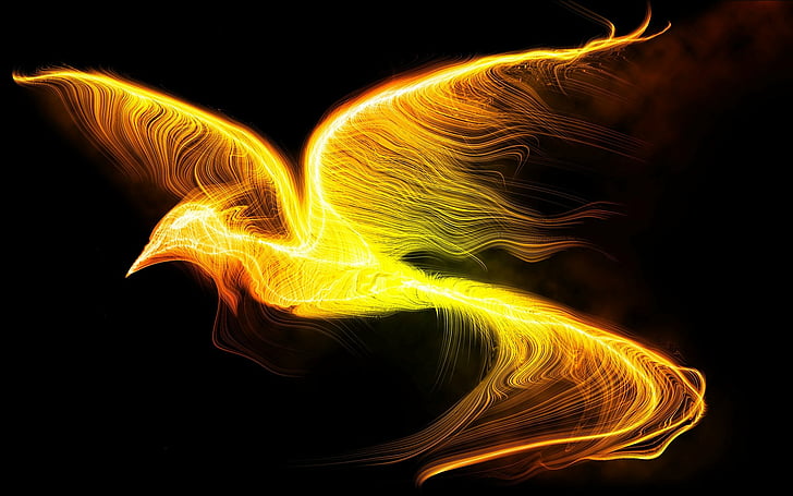 Hewan Fantasi, Phoenix, Burung, Fantasi, Api, Wallpaper HD