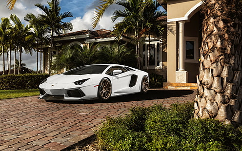 Lamborghini aventador amazing, Lamborghini, aventador, lp700-4, white, front, Amazing, Sfondo HD HD wallpaper