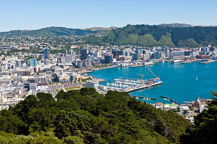 градски пейзаж, Нова Зеландия, Уелингтън, крайбрежие, сгради, горе, Град, HD тапет