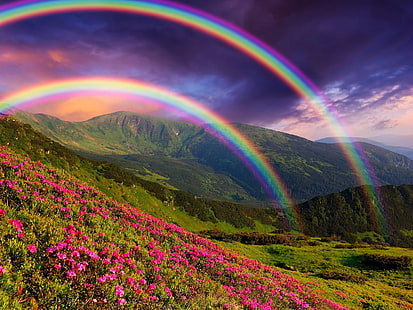 Nature landscape, mountains, flowers, rainbow, Nature, Landscape, Mountains, Flowers, Rainbow, HD wallpaper HD wallpaper