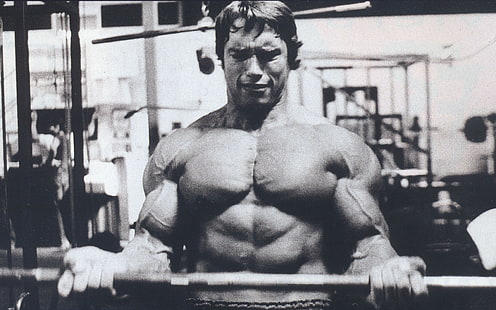 Abbildung des Mannes, Arnold Schwarzenegger, Bodybuilding, Bodybuilder, Langhantel, Hanteln, Turnhallen, dünn, ausüben, HD-Hintergrundbild HD wallpaper