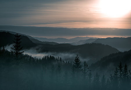 4K, Норвегия, планини, мъгла, гора, HD тапет HD wallpaper