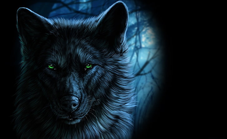 animals, fantasy art, wolf, artwork, HD wallpaper