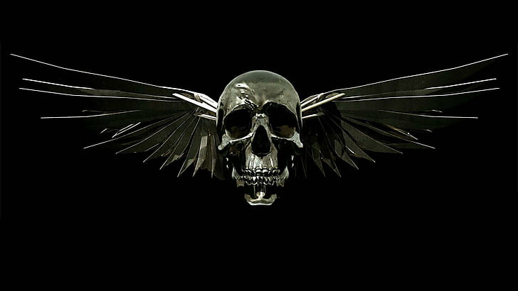 1920x1080, expendables, movie, silver, skull, wings, HD wallpaper