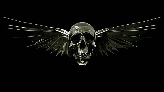 1920x1080, expendables, movie, silver, skull, wings, HD wallpaper HD wallpaper