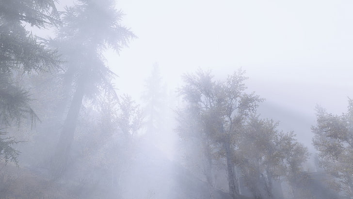 The Elder Scrolls V: Skyrim, otoczenie, mgła, las, Tapety HD