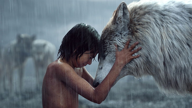 The Jungle Book, The Jungle Book (2016), Love, Movie, Mowgli, Wolf, HD wallpaper