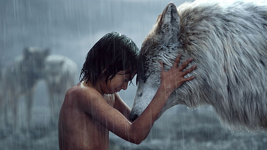 Le livre de la jungle, Le livre de la jungle (2016), Amour, Film, Mowgli, Wolf, Fond d'écran HD HD wallpaper