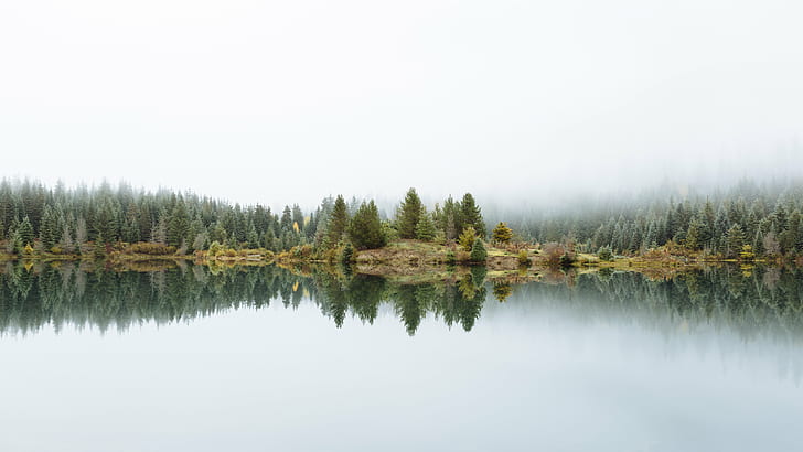 landscape photo of foggy lake with trees, Leaders Of The  World, World  landscape, photo, lake, trees, Gold Creek, Pond, nature, reflection, water, fog, landscape, Pacific Northwest, Canon EOS 5D Mark III, III  john, westrock, Canon EF, 70mm, f/2, USM, washington, forest, tree, outdoors, scenics, mountain, sky, HD wallpaper