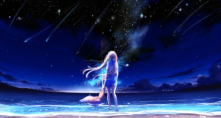 الرسوم المتحركة امرأة التوضيح ، البحر ، السماء ، الليل ، تلميذة ، شهاب النجوم ، بواسطة lluluchwan، خلفية HD