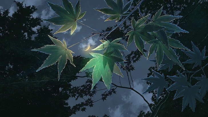 árvore verde deixa ilustração de anime, céu, nuvens, luz, noite, filial, folhagem, desenhos animados, à noite, a lua, lua, crescente, jardim de belas palavras, o jardim das palavras, HD papel de parede