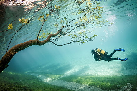 A diver in a lake, green trees and men's diving suit, diver, Lake, Austria, HD wallpaper HD wallpaper