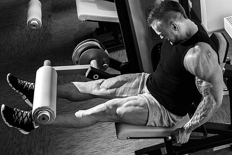 Bein-Lockenwickler, Muskeln, Training, Fitnessstudio, Bodybuilder, HD-Hintergrundbild HD wallpaper