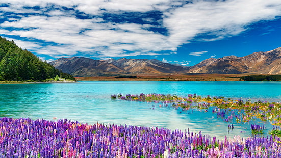 Lac Tekapo, île du Sud, Nouvelle-Zélande, Océanie, Fond d'écran HD HD wallpaper