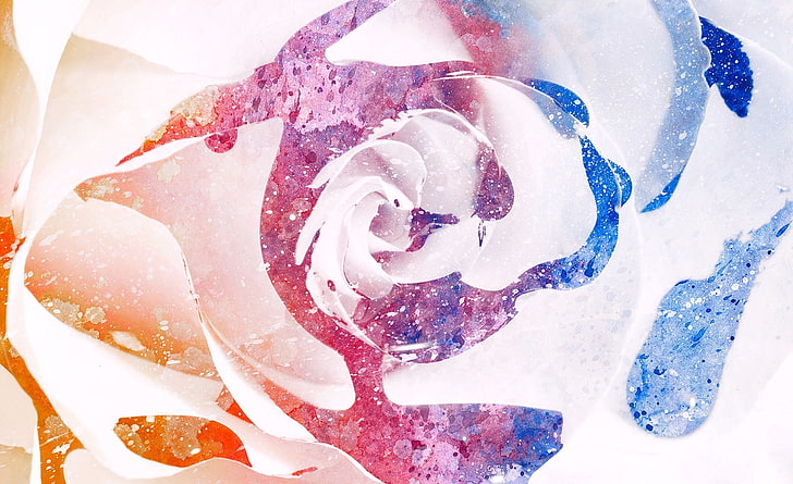 Warna Splatter Rose, lukisan bunga putih, merah muda, biru, dan krem, Aero, Berwarna-warni, Berwarna, Mawar, Splatter, Wallpaper HD