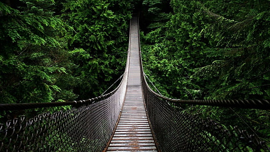 мост, лес, подвесной мост, Линн-Каньон, Линн-Вэлли, Ванкувер, Канада, удивительно, Британская Колумбия, HD обои HD wallpaper