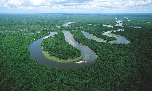 amazonas, barco, naturaleza, rio, selva, HD papel de parede HD wallpaper