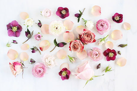 花、花、アネモネ、芸術、牡丹、ピンクの花、バラ、白い花、 HDデスクトップの壁紙 HD wallpaper