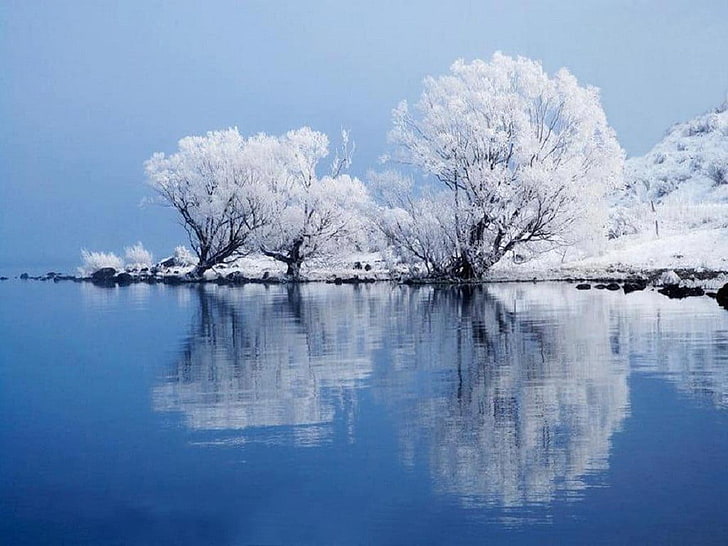 casa blanca y azul cerca del cuerpo de pintura de agua, árboles, invierno, nieve, lago, reflejo, Fondo de pantalla HD