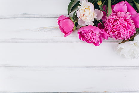  flowers, pink, white, wood, peonies, HD wallpaper HD wallpaper