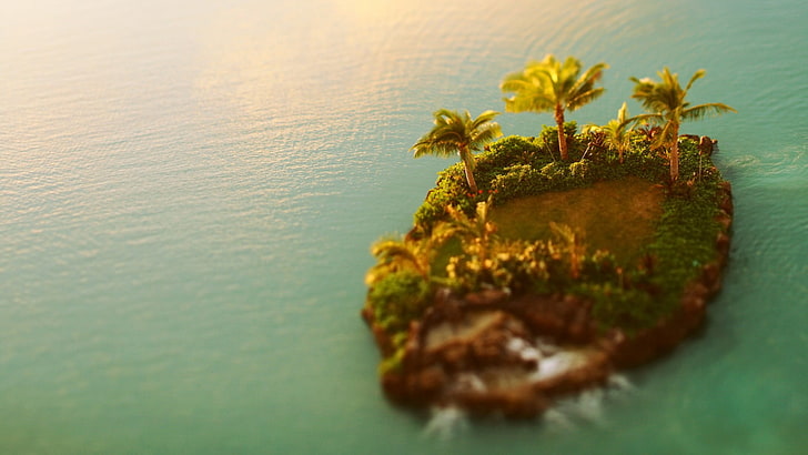 green island, aerial view of island, island, sea, palm trees, tilt shift, HD wallpaper