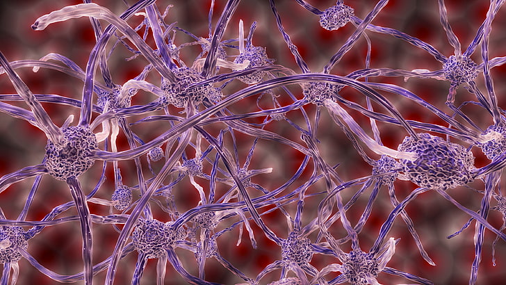 organismos azules y blancos, células nerviosas, plexo, 3d, Fondo de pantalla HD