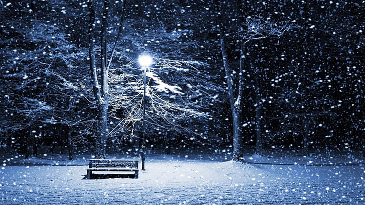 snow covered tree, winter, snow, lantern, cold, trees, Christmas, bench, HD wallpaper