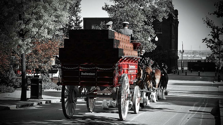 Bud Wagon Clydesdales, wagons, horses, animals, clydesdales, HD wallpaper