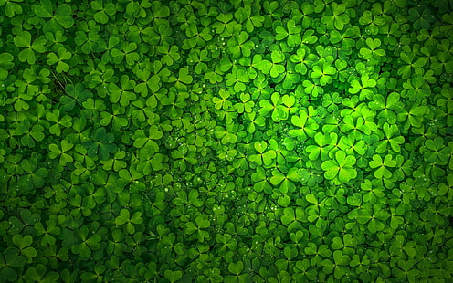 St. Patrick's Day, St. Patricks Day, Irland, Kleeblatt, HD-Hintergrundbild HD wallpaper