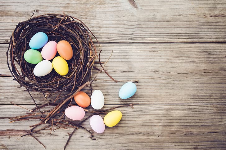 branches, basket, eggs, spring, colorful, Easter, vintage, wood, decoration, Happy, tender, HD wallpaper