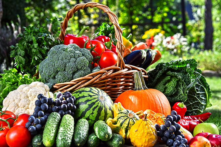 greens, basket, apples, watermelon, garden, grapes, eggplant, pumpkin, pepper, fruit, vegetables, tomatoes, carrots, cabbage, cucumbers, HD wallpaper