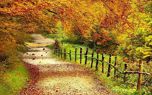 Красиви тапети за есенни пейзажи Full Hd Wallpaper, HD тапет HD wallpaper