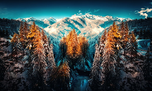 Fotografía de paisaje de bosque con montaña de nieve, invierno, bosque, nieve, naturaleza, paisaje, montañas, árboles, Fondo de pantalla HD HD wallpaper
