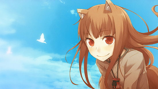 Spice und Wolf, Holo, Okamimimi, Anime Girls, HD-Hintergrundbild HD wallpaper